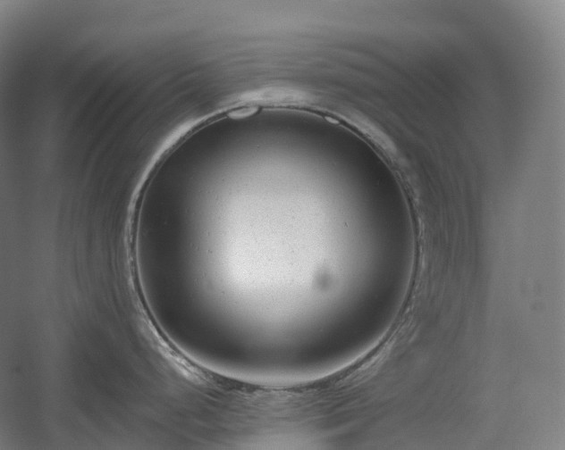 X0000054361248200508051521