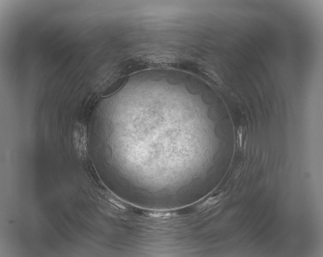 X0000054361251200508051520