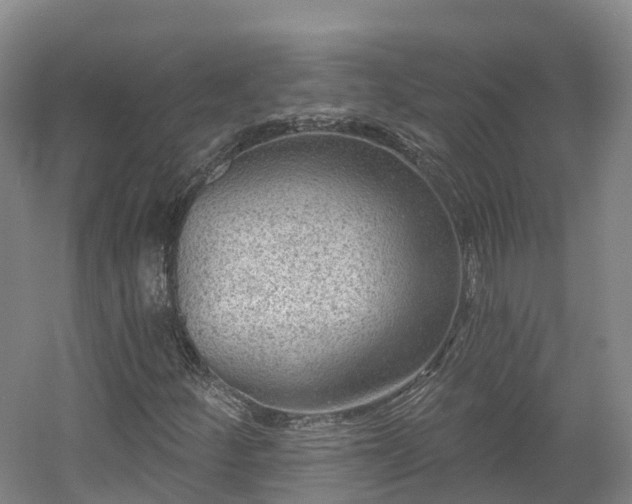 X0000054361252200508051520