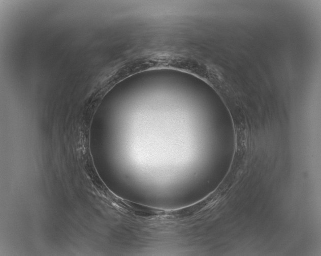 X0000054361253200508051520