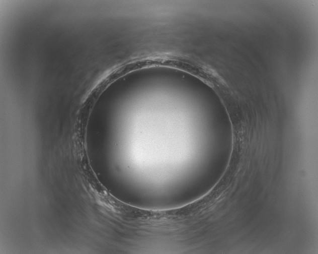 X0000054361256200508051520