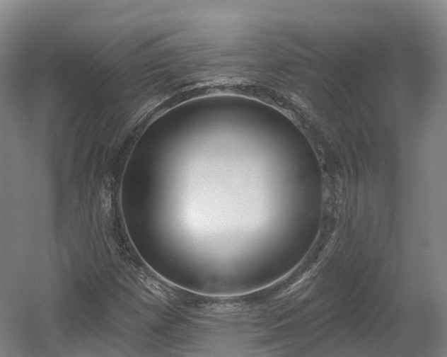X0000054361257200508051520