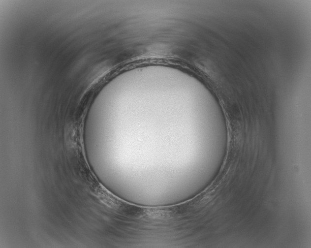 X0000054361258200508051520
