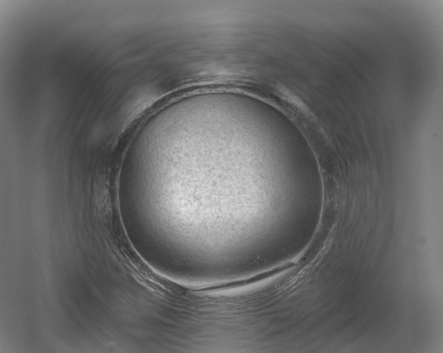X0000054361259200508051520
