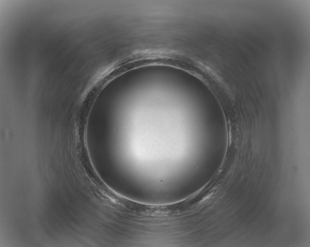 X0000054361261200508051520