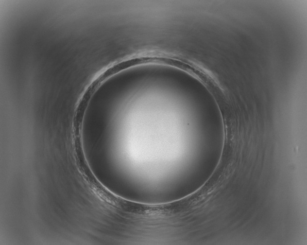 X0000054361264200508051520
