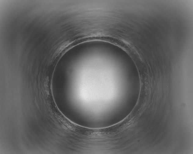 X0000054361265200508051520