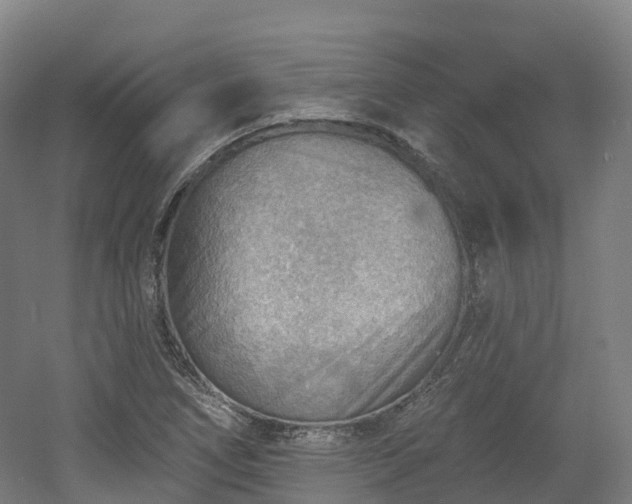 X0000054361266200508051520