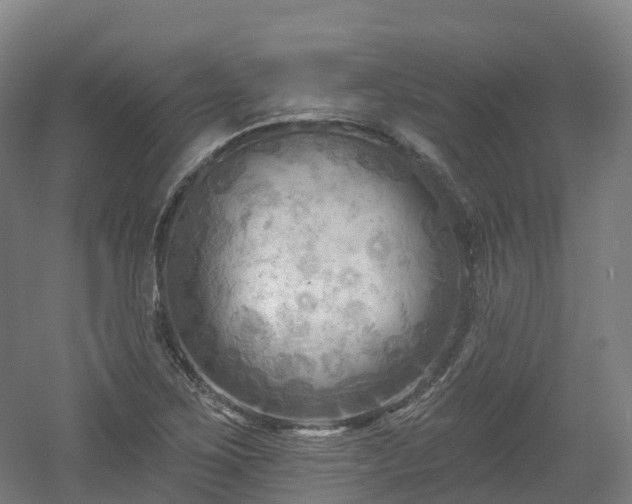 X0000054361267200508051520