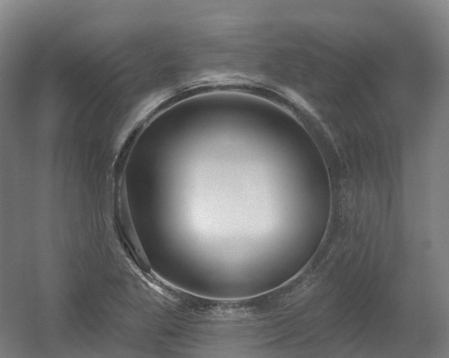 X0000054361269200508051520