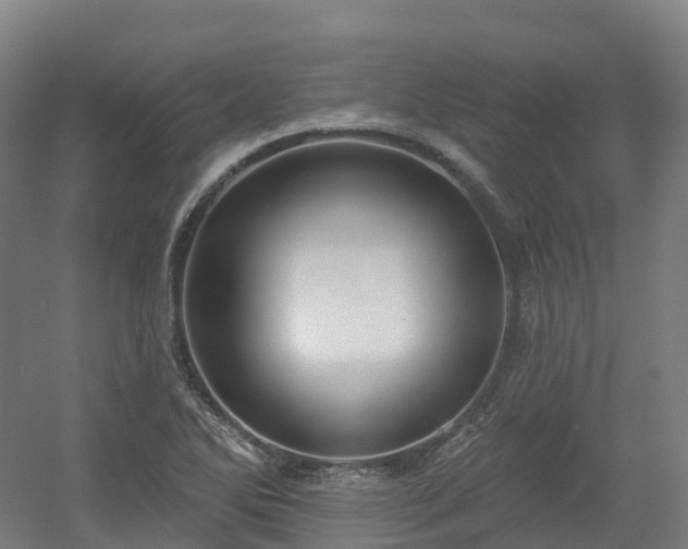 X0000054361270200508051520