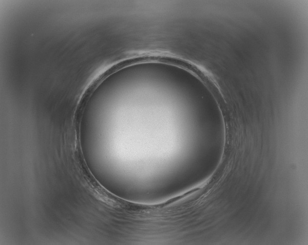 X0000054361271200508051520