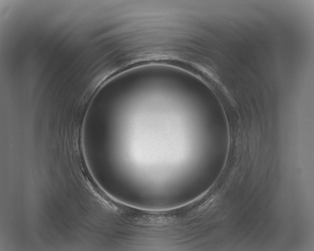 X0000054361273200508051520