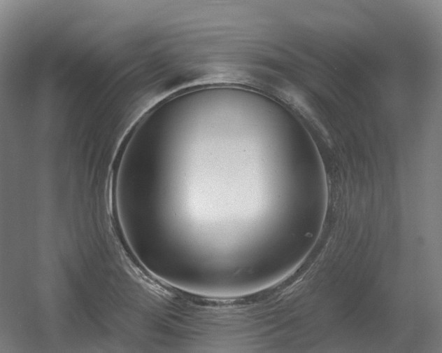 X0000054361276200508051519