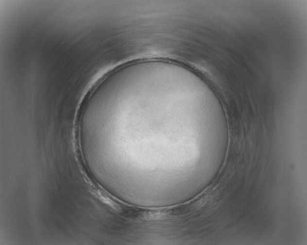 X0000054361278200508051519