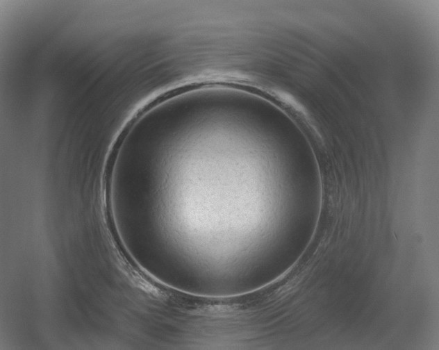 X0000054361280200508051519