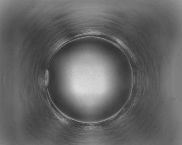 X0000054361281200508051519