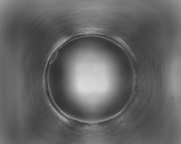 X0000054361285200508051519