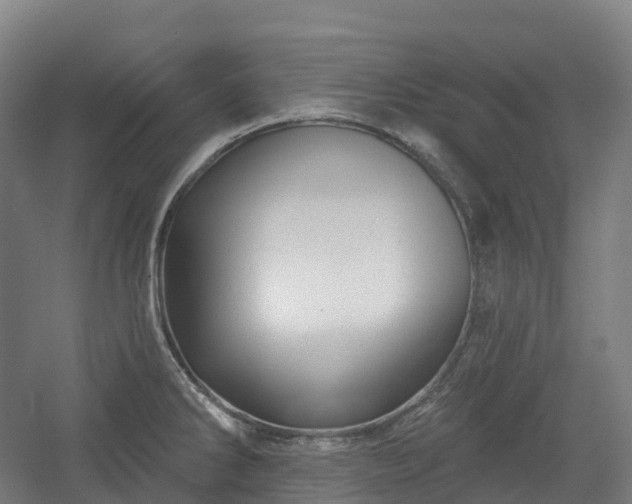 X0000054361286200508051519
