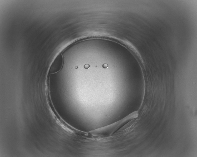 X0000054361287200508051519