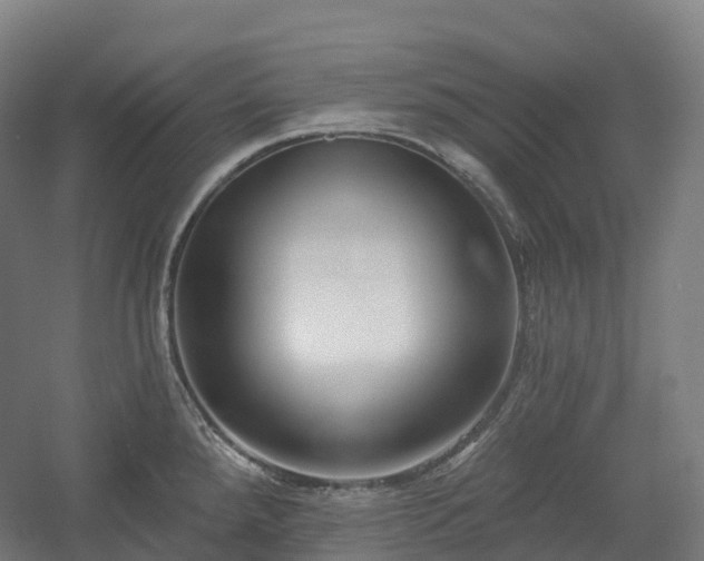 X0000054361288200508051519
