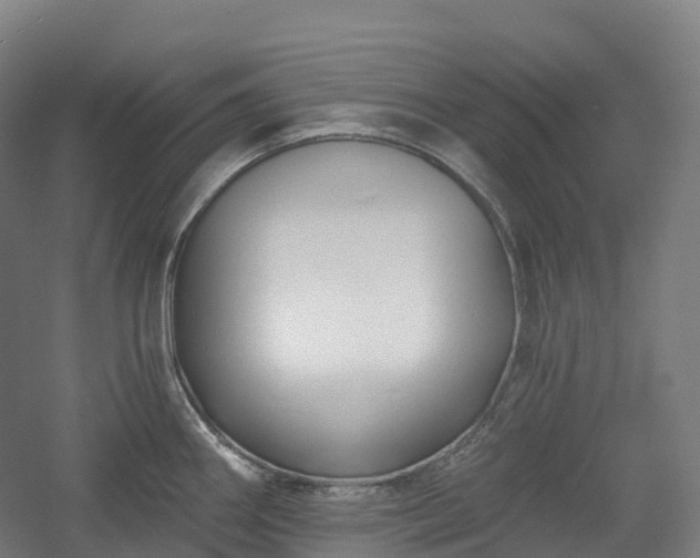 X0000054361290200508051519