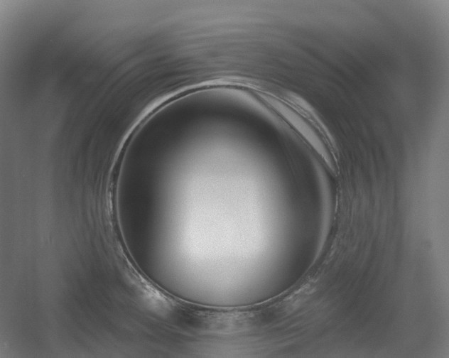 X0000054361292200508051519