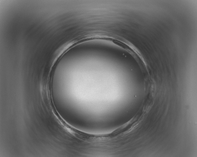 X0000054361293200508051519
