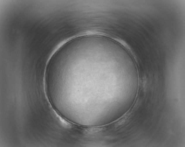 X0000054361294200508051519