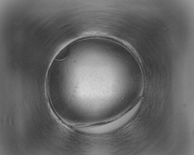 X0000054361295200508051519