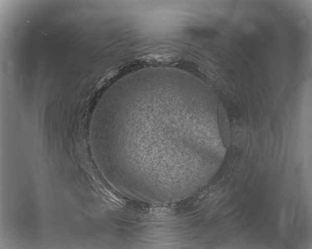 X0000054361297200508051518