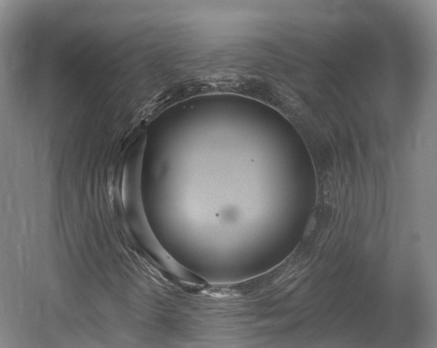 X0000054361298200508051518