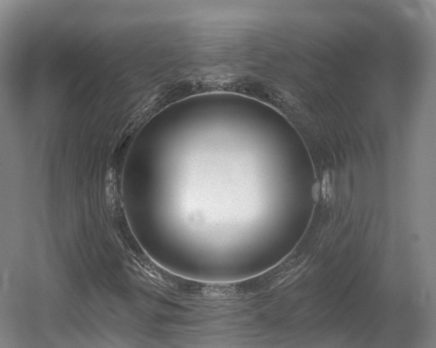 X0000054361299200508051518