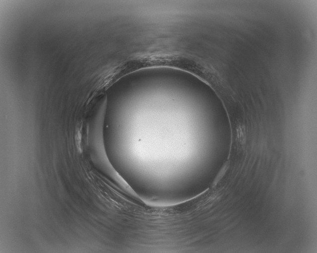 X0000054361300200508051518