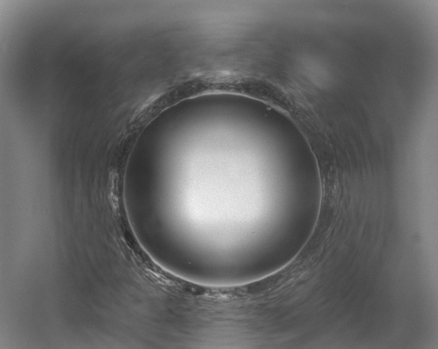 X0000054361301200508051518