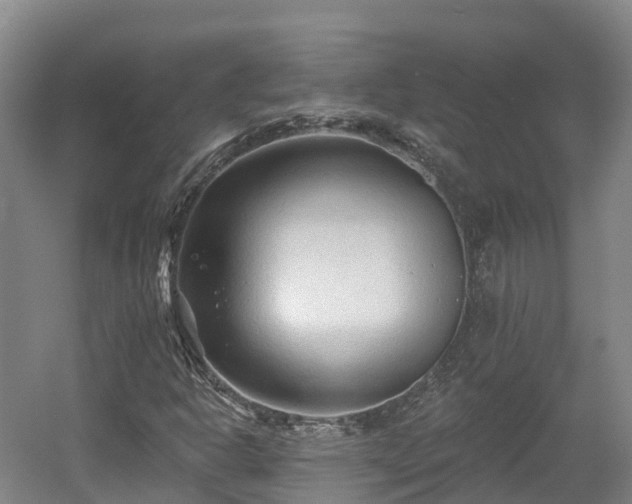 X0000054361302200508051518