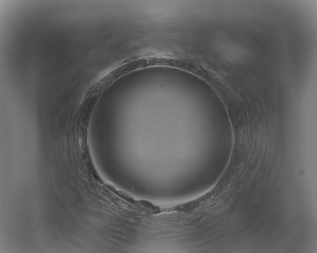 X0000054361303200508051518