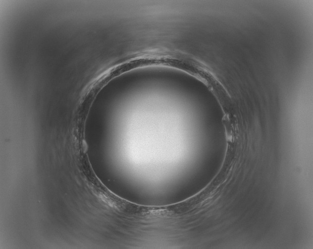 X0000054361304200508051518