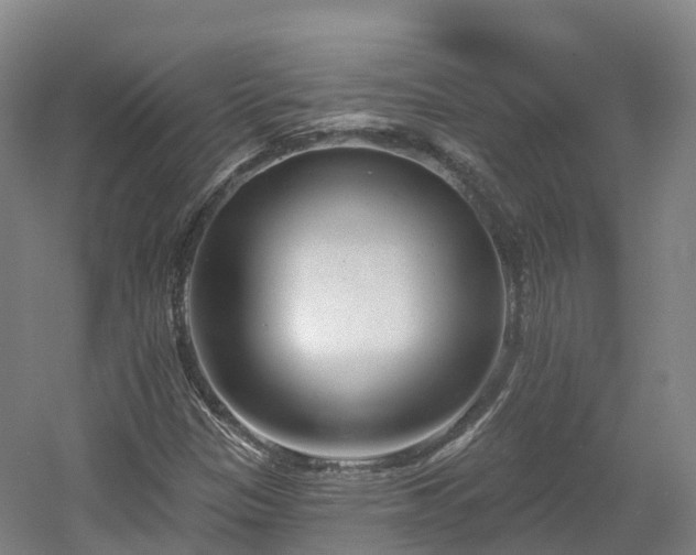 X0000054361305200508051518