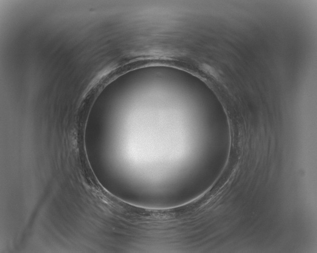 X0000054361307200508051519