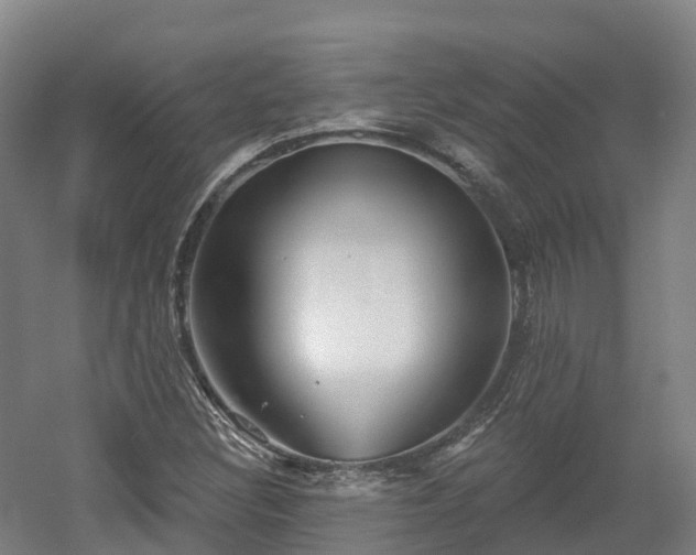 X0000054361308200508051519