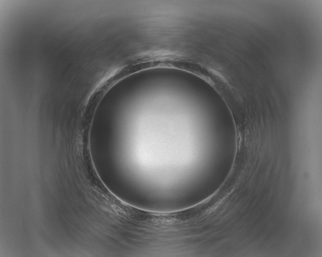 X0000054361309200508051519