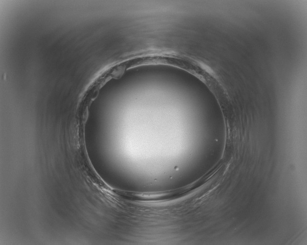 X0000054361310200508051519