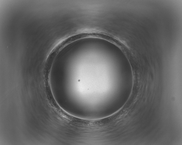 X0000054361311200508051519