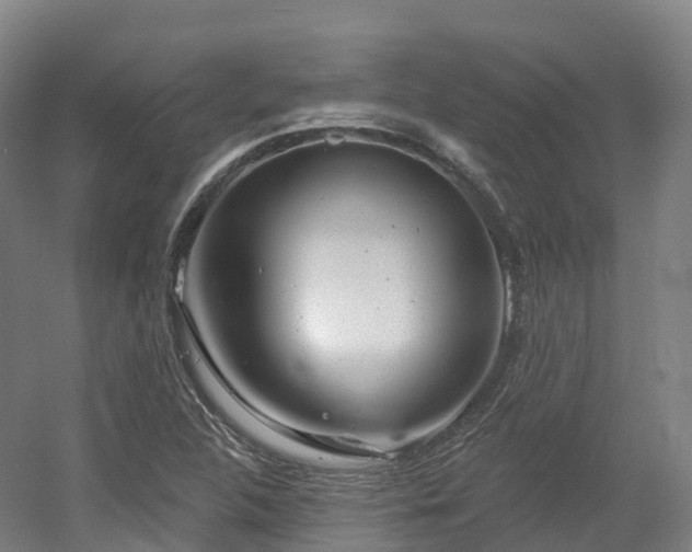 X0000054361312200508051519