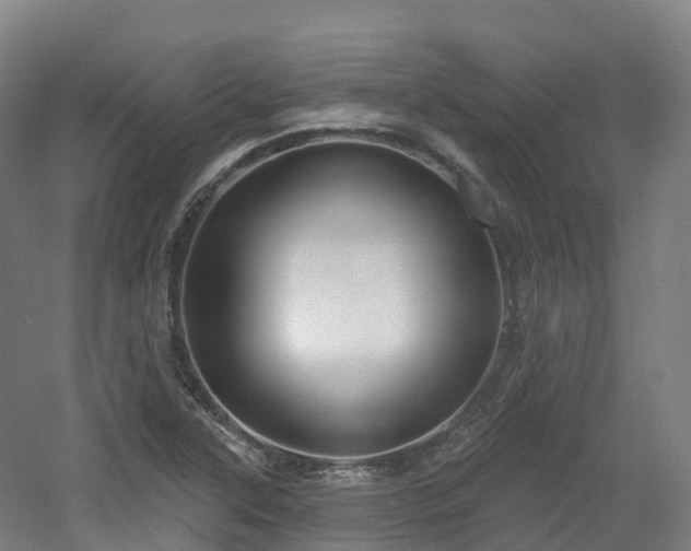 X0000054361315200508051519