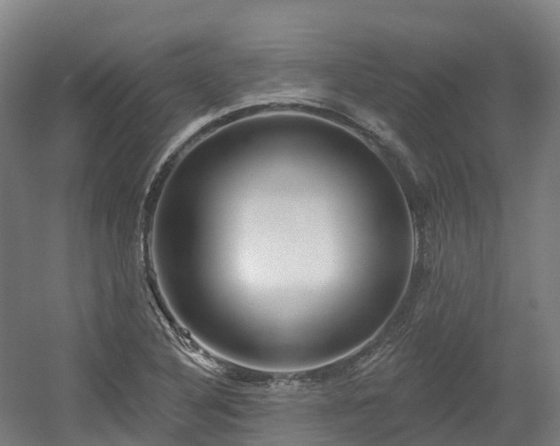 X0000054361316200508051519
