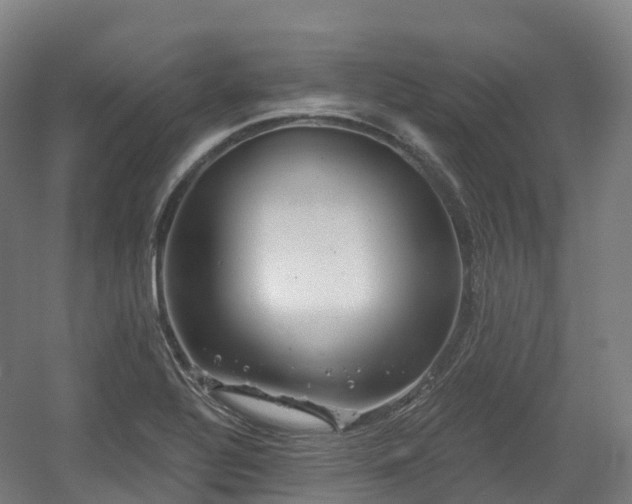 X0000054361320200508051519