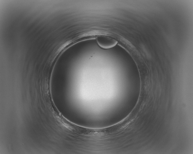 X0000054361321200508051519