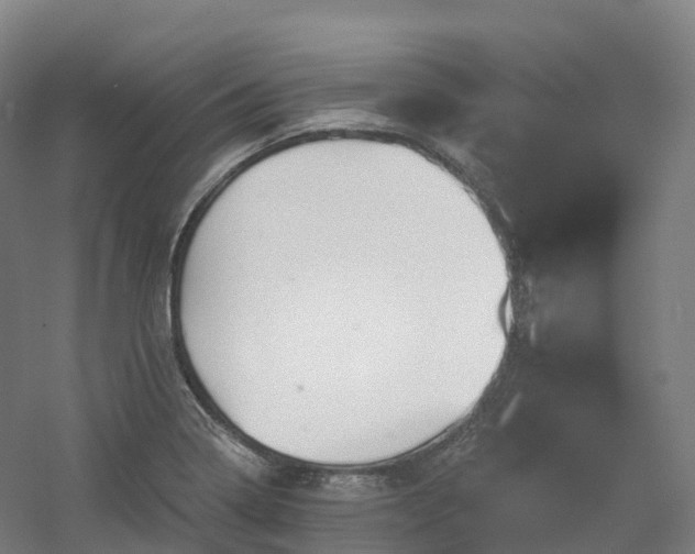 X0000054361322200508051519